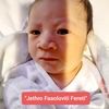 fredfereti